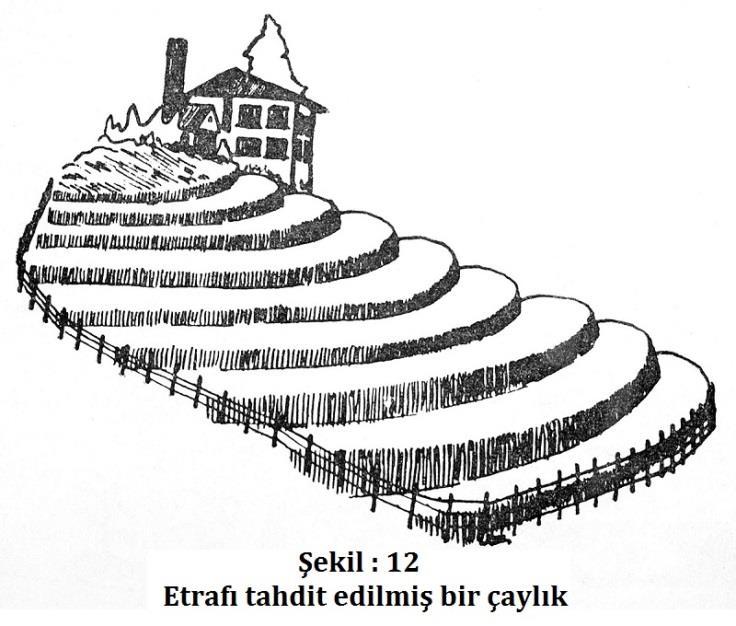 Setlenmiş arazilerde dikkat edilmesi gereken en önemli noktalardan birisi de, şevlerin kısa zamanda otlandırılmasıdır. Buraların otlandırılıp keçeleştirilmesi setin mukavemetini arttırır.