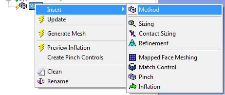 Mesh e sağ tıklanır ve Insert -> Method seçilir.