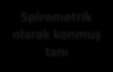 Spirometrik olarak konmuş tanı Havayolu obstrüksiyonunun değerlendirmesi Orta ve Ağır Alevlenme öyküsü Semptomlar yada alevlenme riskinin değerlendirmesi Postbronkodilator FEV 1 /FVC < 0.