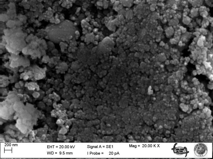 Şekil 5.2 SGDC/karbonatkompozit elektrolitinin SEM görüntüsü Şekil 5.2'de ise SGDC/karbonat kompozitinin SEM mikrografı görülmektedir.