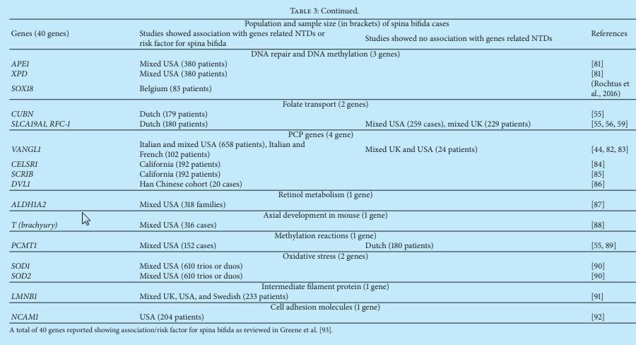 Mohd-Zin SW, Marwan AI, Abou Chaar MK, Ahmad-Annuar A, Abdul-Aziz NM: Spina Bifida: Pathogenesis,