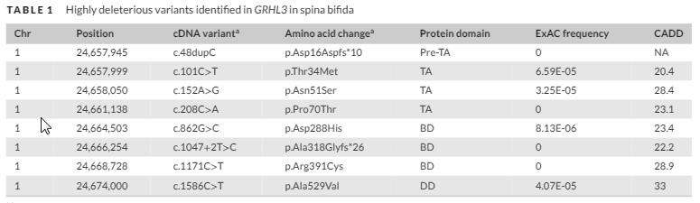 6 ailesel olgu 35 daha önce yayınlanmış spina bifidalı trio 192 sporadik spina bifida WES analizi GRHL3 geninde