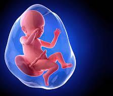 Prenatal tanı, AFP düzeyi ve USG MRI Doğuma kadar hayatta kalan bireylerin; lezyonları cerrahi olarak kapatılır Chiari II beyin malformasyonu Hidrosefali Ürolojik Ortopedik sekeller dahil olmak üzere