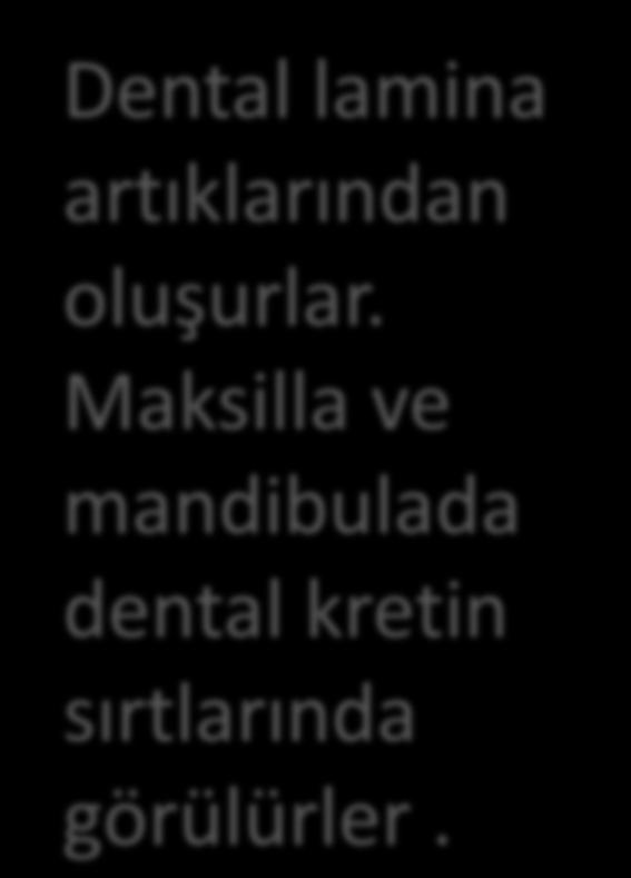 DENTAL LAMİNA KİSTLERİ Dental