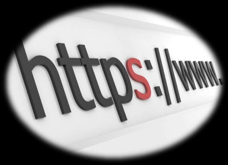 HTTPS İletişim kuralı Web sitesi ile yapılan bilgi