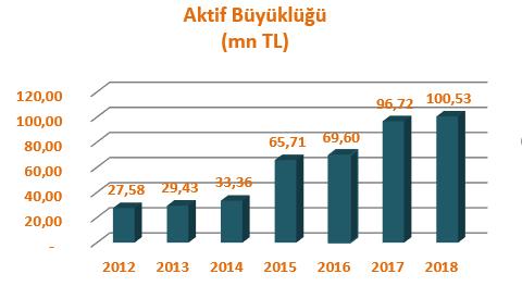 2013 2014 2015 2016 2017 2018 Gayrimenkul Portföyü 5,38 19,00