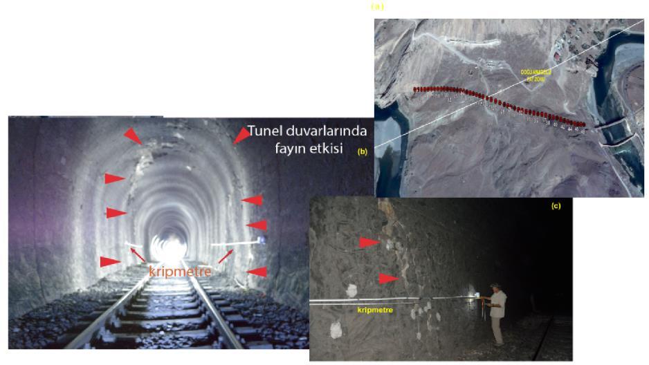 Beyaz çizgi, DAF ın konumunu belirtmektedir. (b) Fayın tüneli kestiği yerin tünel içinden alınan fotoğrafı. (c) Fay tarafından kesilen duvara yerleştirilen kripmetre istasyonunun detay görüntüsü.