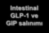 GLP-1 ve GIP DPP-4 Enzimi