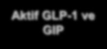 GLP-1 ve GIP x Hızlı