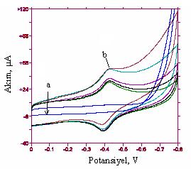 Şekil 5.64 0,1 M H 2 SO 4 te a. GC elektrot, b. GC-NHBCC elektrot (0,5 M KCl de modifiye edilmiş) ile CV voltamogramları, ν = 200 mv/s Şekil 5.