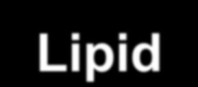 Etki Gösteren Lipid