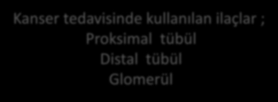 ilaçlar ; Proksimal tübül