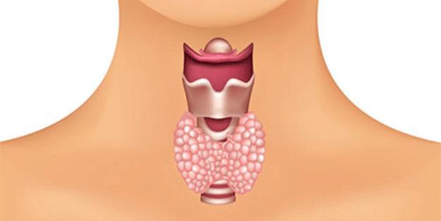 Hipotiroidi Sık Orta Bildirilmemiş Sorafenib Axitinib Erlotinib Bosutinib Lapatinib Sunitinib