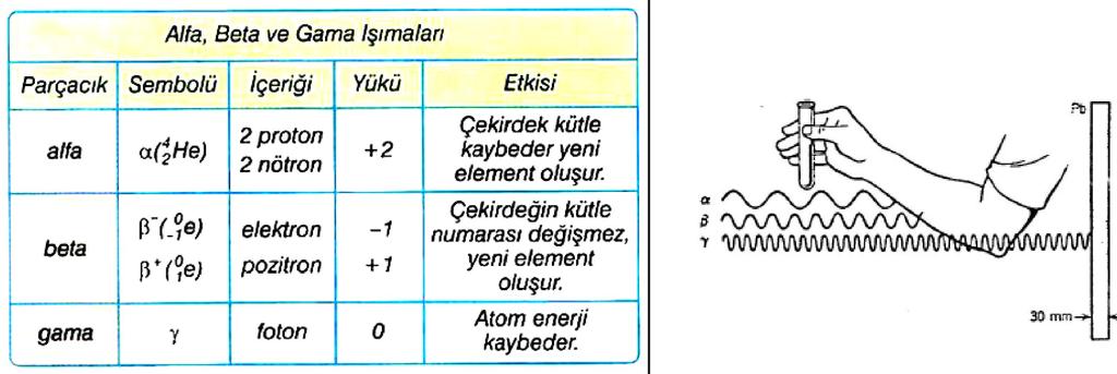 Özet 47