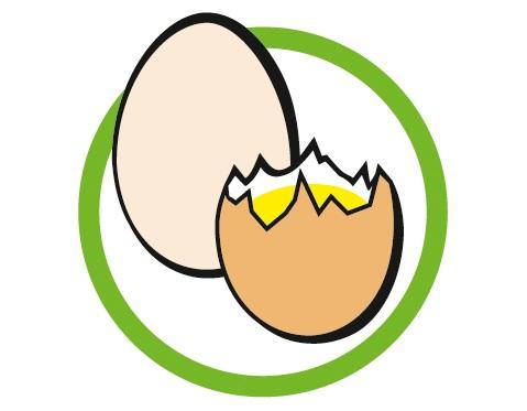 Yumurta ve mamulleri TETİKLEYİCİLER Yumurta, yumurta akı, yumurta sarısı, yumurta tozu, sıvı yumurta, mayonez, lizozim (peynir kabuğunda), yüksek kolesterol diyetinde yumurtanın yerine kul - lanılan