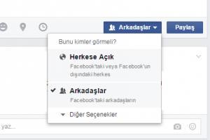 hayatın sanal bir kopyasıdır. Sosyal ağ denilince ilk sıralarda Facebook, Twitter ve Google Plus akla gelmektedir.