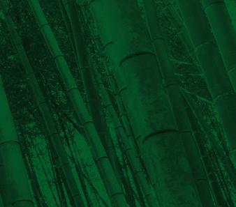 Bambu binlerce yıldır, Asya da yapı malzemesi olarak, değerli ve güvenilirdir.