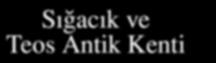 ağaçların huzurlu kollarında sanki daha yavaş geçiyor.