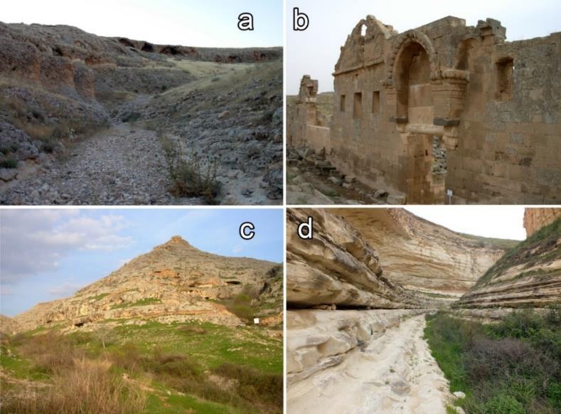 M. Z. Yıldız 4. ZMADYU NO: 21/2006, N:1 (1 ), 12.05.2006, Çiçekalan/ Birecik/ŞANLIURFA, Leg. M. Z. Yıldız 5. ZMADYU NO: 198/2007, N:7 (5, 2 jüv.), 19.06.2007, Kelaynak Vadisi /Birecik/ŞANLIURFA, Leg.