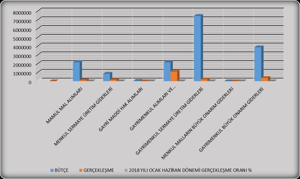 2018 yılının ilk altı aylık döneminde bu kaleme konulan ödeneğe gore, bu kalemde gerçekleşen giderin oranı ise % 11,57 olmuştur.