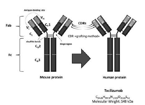 IL-6 reseptör Antikoru: Tocilizumab (Atlizumab) Genetik mühendislikle üretilmiş bir monoklonal antikordur.