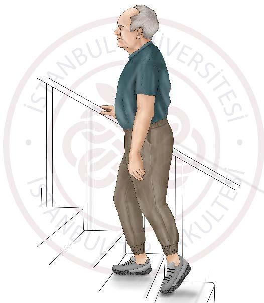 6.Egzersiz (Basamak Çıkma) Bir tırabzanlı merdiven dibinde ayakta durun.