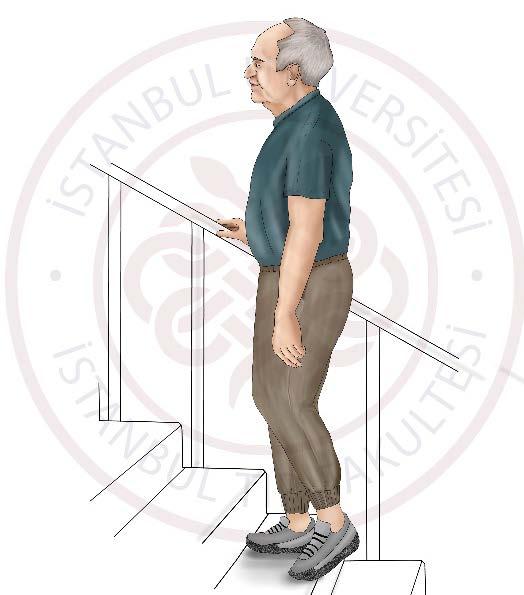 2 ye kadar sayarken ağırlığınızı sol bacağınızın üzerine aktarın ve bacağınızı düzleştirerek yavaşça ilk adım attığınız basamak seviyesine kadar yükselin.