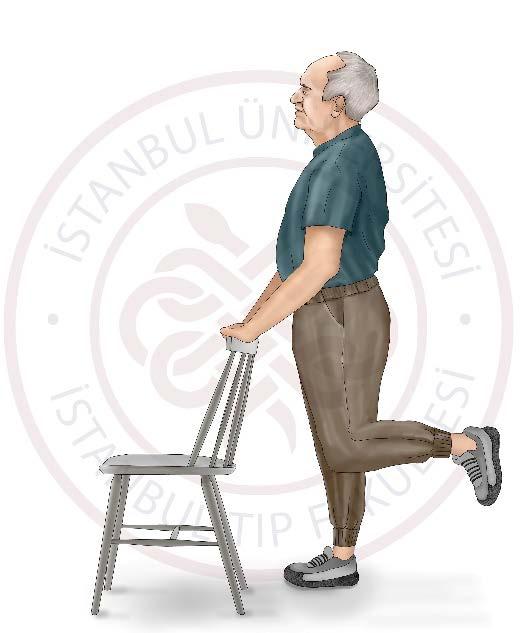 10.Egzersiz (Diz Bükme) Ayak bileğinize bir ağırlık takın ve sağlam bir sandalyenin arkasında ayakta durun. Ayaklarınız ileriye dönük ve omuz genişliğinden biraz dar açıklıkta olsun.