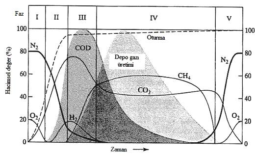 Şekil 3.2 : Depo gazı oluşum safhaları (Öztürk, 2010a). 1.