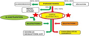 Aşırı dozda ise, mevcut glutatyon depo düzeyi aşıldığından serbest NAPQI,