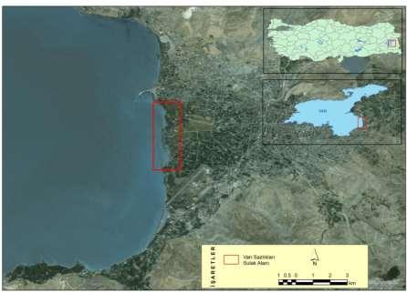 avcılık, balıkçılık ve turizm zarar gördüğü için ülke ekonomisi de olumsuz yönde etkilenmektedir (Gürer, 2008).