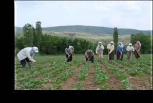 birlikler Veterinerler ve teknisyenler Mezbaha çalışanları ve