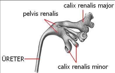 Resim 1.