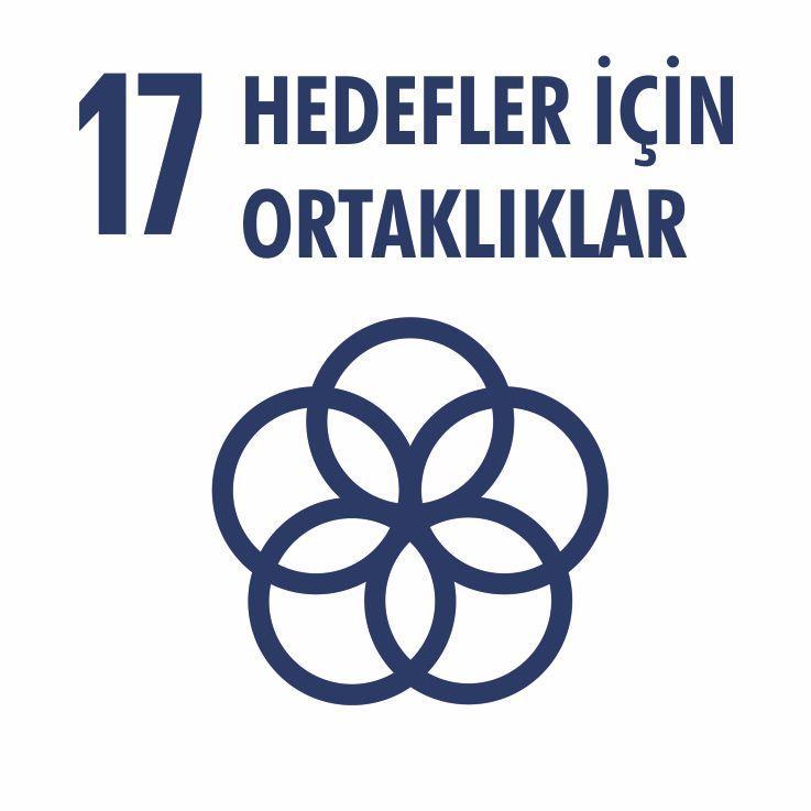 Sürdürülebilir kalkınma için küresel ortaklığın uygulama araçlarını güçlendirmek ve küresel ortaklığı yeniden canlandırmak 17.6 Bilim, Teknoloji ve İnovasyona Erişim 17.8 İletişim Teknolojileri 17.