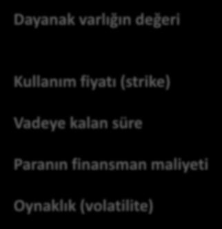 Kullanım fiyatı (strike) Vadeye kalan