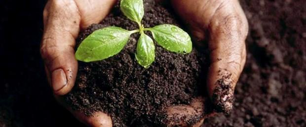Toprağa Kompost Uygulamakla Sağlanan Yararlar : Toprak yapısında iyileşme, Topraktaki yararlı organizmaların çoğalması ve fonksiyonlarını sürdürmesi, Toprağın mineral besin maddesi