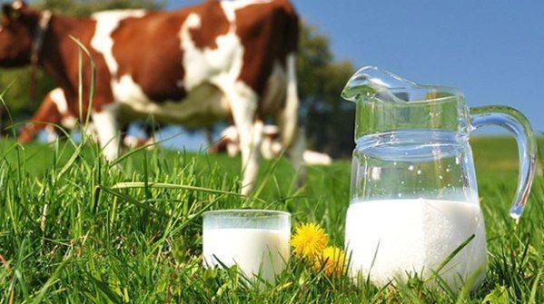 Süt İneklere daha hızlı büyümeleri için ve verimlerinin artması için büyüme hormonu enjekte edilmektedir.
