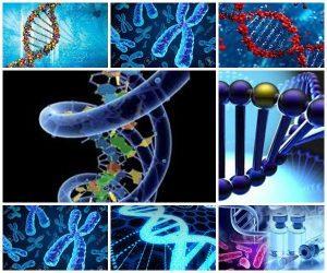 1982, rekombinant dna teknolojisi ile üretilmiş insülin hormonu amerikan gıda ve ilaç dairesi (fda) izniyle satışa sunuldu.