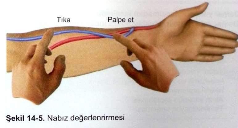 Girişin değerlendirilmesi Augmentasyon testininde fistüle gelen akım (inflow) değerlendirilir.