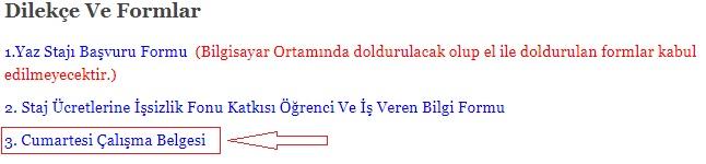 Staj Gün Sayısı Cumartesi günleri; cumartesi çalışma belgesi doldurulmak suretiyle staj