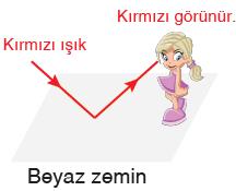 Beyaz cisimler, tüm