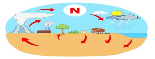 olacak, Atmosfere bırakılan metan ve karbon dioksit oranının düşürülmesi için alternatif enerji kaynaklarına yöneltilecek, Fosil yakıtlar yerine örneğin biodizel yakıt kullanılacak, Çimento,