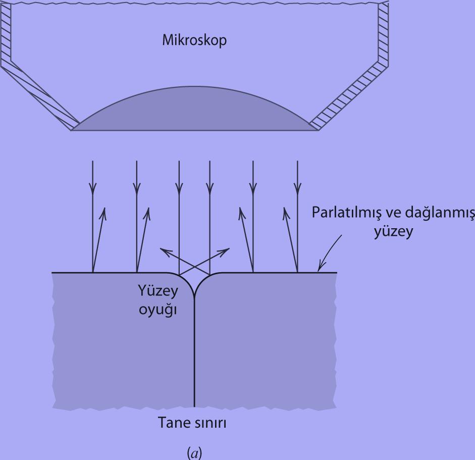 4. Mikroskobik İnceleme Yöntemleri: Optik Mikroskop (a) Dağlama