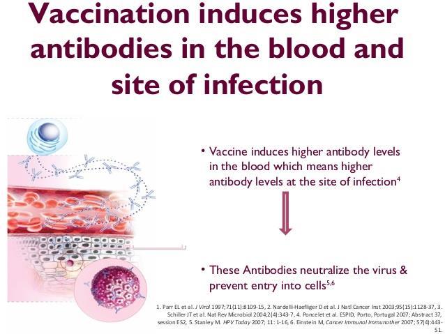 Aşı, kan ve infeksiyon bölgesinde yüksek antikorların oluşmasını sağlar Bu antikorlar virüsü nötralize eder ve