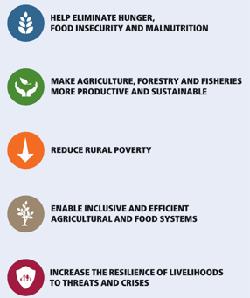 FAO nun stratejik programlar ile bağlantısı Proje aşağıdakiler ile bağlantılıdır: - SP2 ile sürdürülebilir tarım için