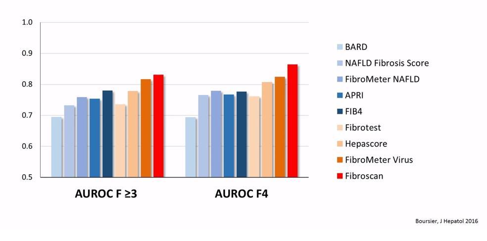 Noninvazif Fibrozis Skorlarının