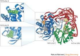 ü NS5B NS5B inhibitörleri RNA bağımlı RNA polimeraz ü Yapısal