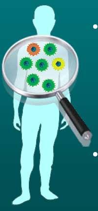 Dirençli suşlar tedavi öncesi bulunur ü HCV popülasyonu her hastada genetik olarak farklı ama yakın ilişkili popülasyonların bir karışımı olarak bulunur -her gün~1012 virus çoğalır -her virusta ~1