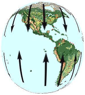 *Bu farklı ısınmanın kutuplar ile ekvator arasında oluşacağı rüzgar sirkülasyonu, dünyanın