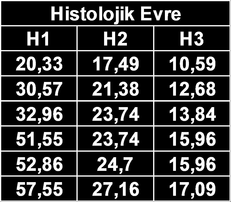 Örnek Histolojik Evre H1 H2 H3 20,33 17,49 10,59 30,57 21,38 12,68